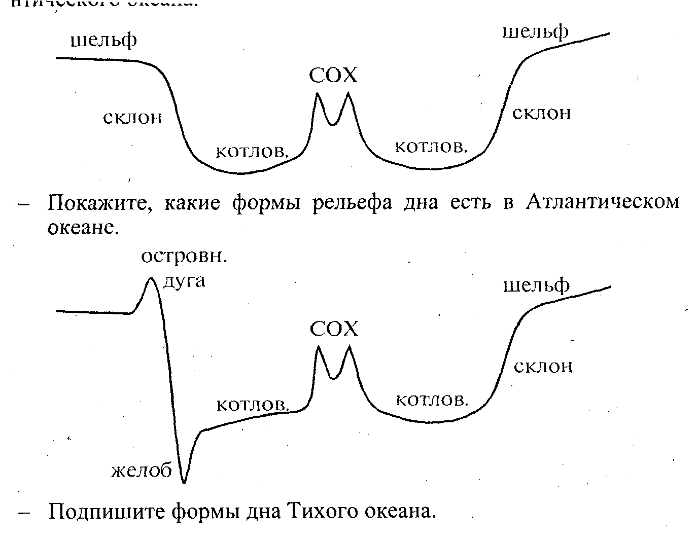 Профиль рельефа дна мирового океана