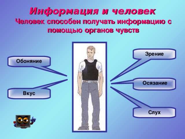 Человек получает информацию с помощью органов