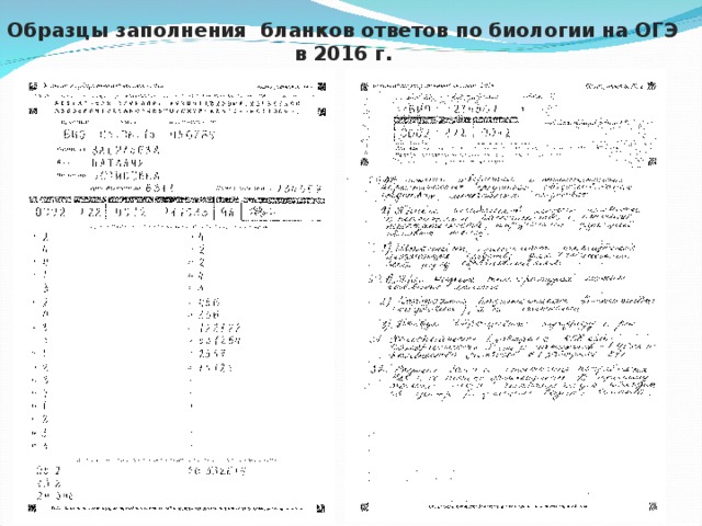 Образец заполнения решения. Заполненный бланк ОГЭ биология 2021. Бланки ответов по ОГЭ биология 2 часть. Как заполнять бланк ОГЭ 2 часть. Образец заполнения Бланка 2 ОГЭ по русскому.