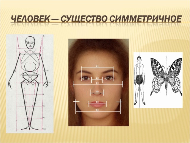 Симметрия в медицине. Симметрия человека. Симметрия человеческого лица. Симметрия человеческого тела. Симметричный человек.