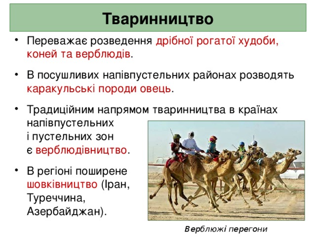 Тваринництво Переважає розведення дрібної рогатої худоби, коней та верблюдів .  В посушливих напівпустельних районах розводять каракульські породи овець .  Традиційним напрямом тваринництва в країнах напівпустельних  і пустельних зон  є верблюдівництво .  В регіоні поширене  шовківництво (Іран,  Туреччина,  Азербайджан).  Верблюжі перегони