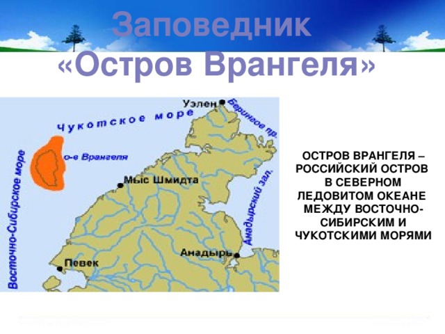 Где находится остров врангеля на контурной карте