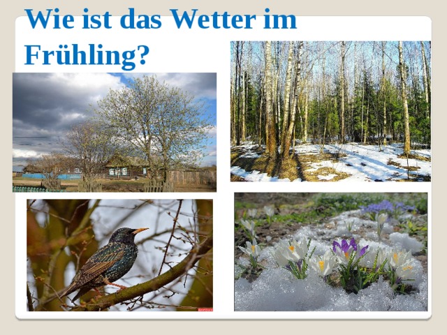 Wie ist das Wetter im Frühling?