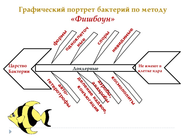 Бактерии в кондиционере автомобиля