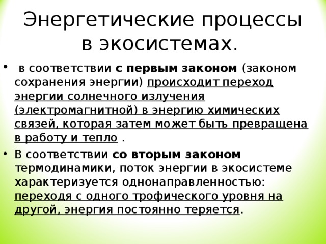 Энергетический процесс. Энергетические процессы в экосистемах. Какие энергетические процессы происходят в экосистемах?. Энергетические процессы в экосистеме и их основные законы. Процессы биогеоценоза.