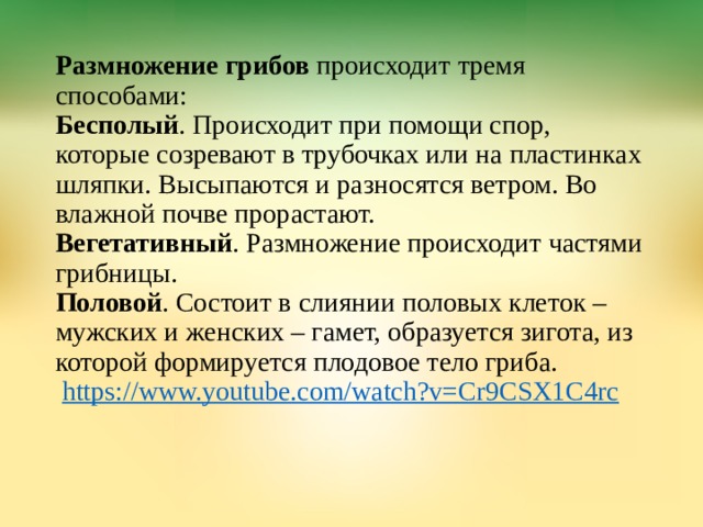 Размножение грибов  происходит тремя способами:  Бесполый . Происходит при помощи спор, которые созревают в трубочках или на пластинках шляпки. Высыпаются и разносятся ветром. Во влажной почве прорастают.  Вегетативный . Размножение происходит частями грибницы.  Половой . Состоит в слиянии половых клеток – мужских и женских – гамет, образуется зигота, из которой формируется плодовое тело гриба.   https://www.youtube.com/watch?v=Cr9CSX1C4rc