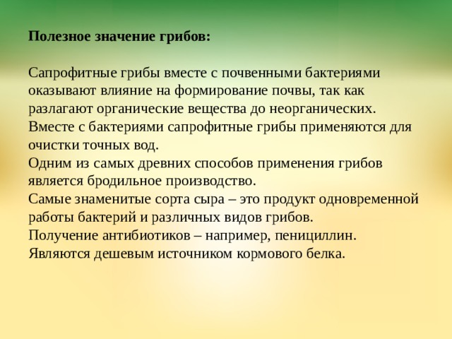 Полезное значение грибов:  Сапрофитные грибы вместе с почвенными бактериями оказывают влияние на формирование почвы, так как разлагают органические вещества до неорганических.  Вместе с бактериями сапрофитные грибы применяются для очистки точных вод.  Одним из самых древних способов применения грибов является бродильное производство.  Самые знаменитые сорта сыра – это продукт одновременной работы бактерий и различных видов грибов.  Получение антибиотиков – например, пенициллин.  Являются дешевым источником кормового белка.