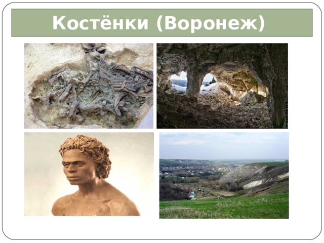 Костёнки (Воронеж)