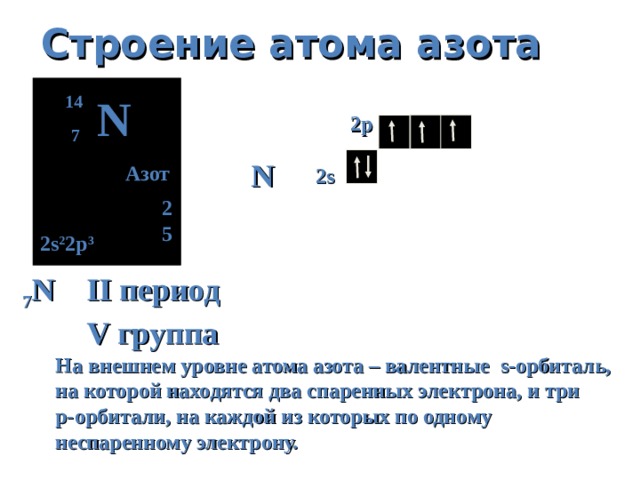 Строение атома азота N 14 2p 7 N Азот 2 s 2 5 2 s 2 2p 3 7 N II период  V группа На внешнем уровне атома азота – валентные s -орбиталь, на которой находятся два спаренных электрона, и три  p- орбитали, на каждой из которых по одному неспаренному электрону.