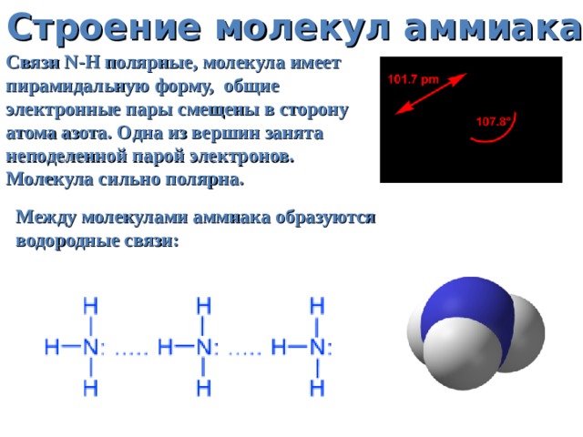 Строение молекул аммиака Связи N-H полярные, молекула имеет пирамидальную форму, общие электронные пары смещены в сторону атома азота. Одна из вершин занята неподеленной парой электронов. Молекула сильно полярна. Между молекулами аммиака образуются водородные связи: