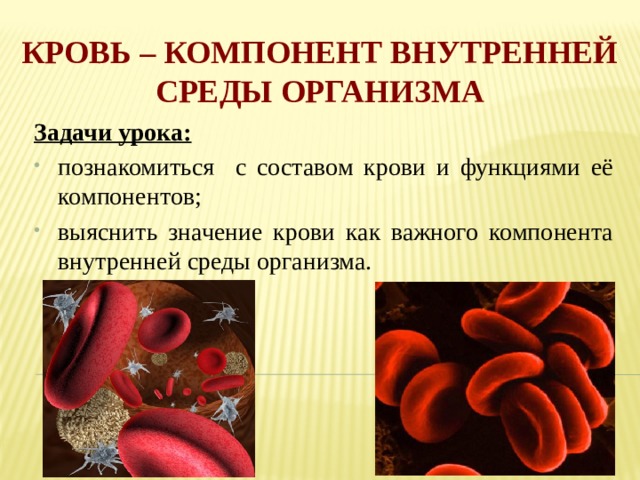 Кровь биология 11 класс. Кровь биология. Задачи урока кровь. Кровь биология 8 класс. Кровь как внутренняя среда организма.