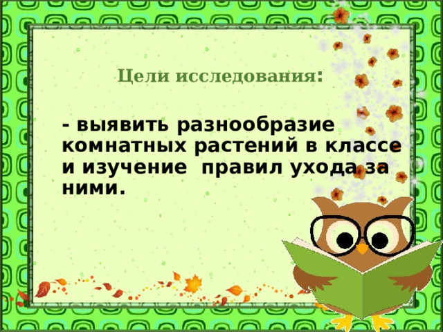 Цели исследования : - выявить разнообразие комнатных растений в классе и изучение правил ухода за ними.