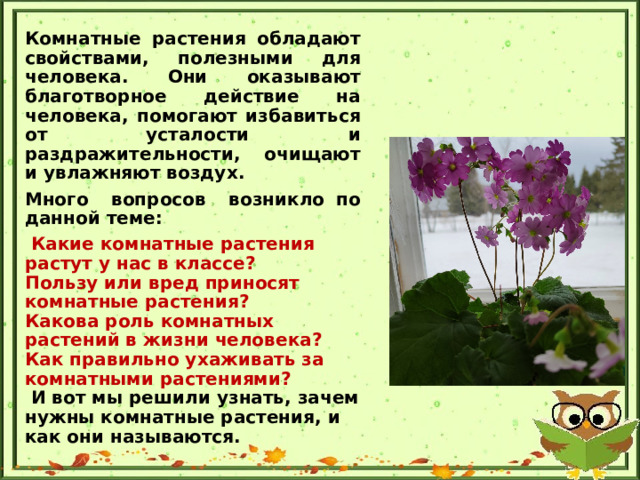 Комнатные растения обладают свойствами, полезными для человека. Они оказывают благотворное действие на человека, помогают избавиться от усталости и раздражительности, очищают и увлажняют воздух. Много вопросов возникло по данной теме:  Какие комнатные растения растут у нас в классе?  Пользу или вред приносят комнатные растения?  Какова роль комнатных растений в жизни человека?  Как правильно ухаживать за комнатными растениями?  И вот мы решили узнать, зачем нужны комнатные растения, и как они называются.